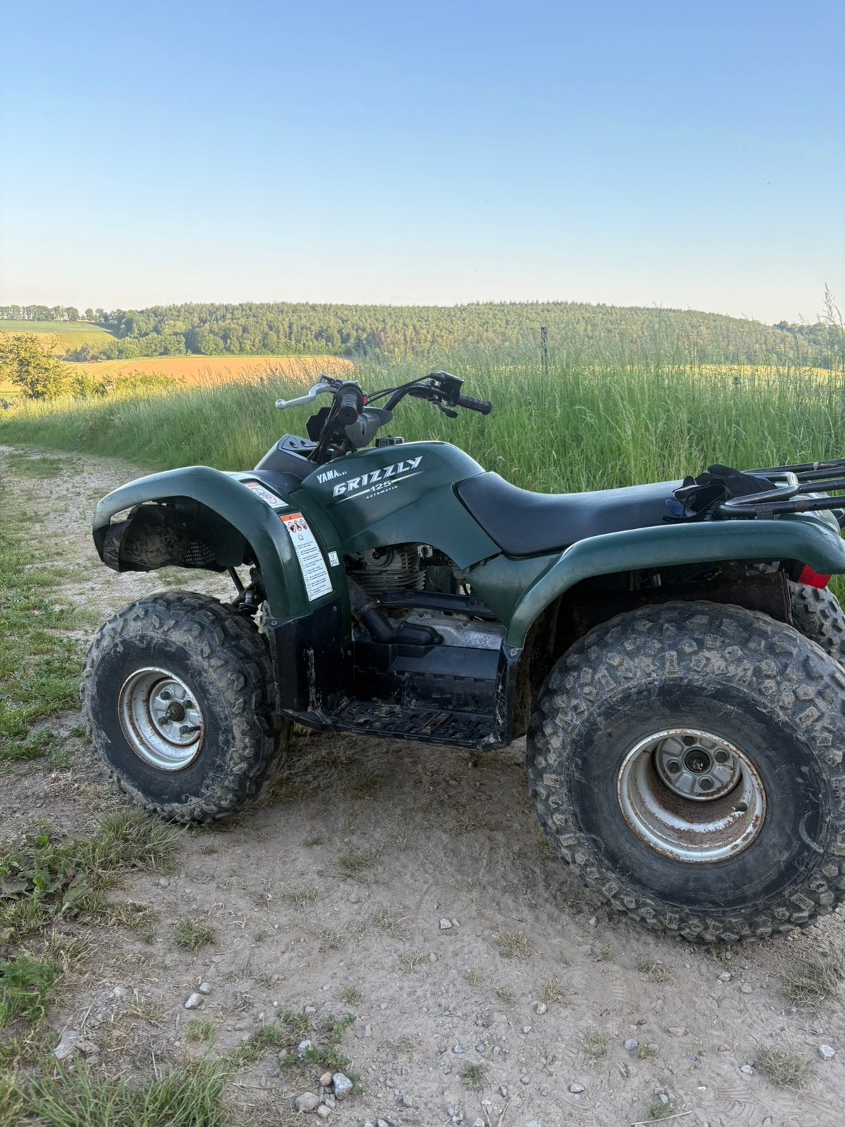 Yamaha Yfm 125 grizzly automatic, Motos, 1 cylindre, 125 cm³, Jusqu'à 11 kW