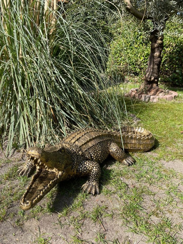Krokodil Antiek goud, tuin, zwembad, vijver, boerderij 100cm, Tuin en Terras, Tuinbeelden, Nieuw, Dierenbeeld, Kunststof, Ophalen