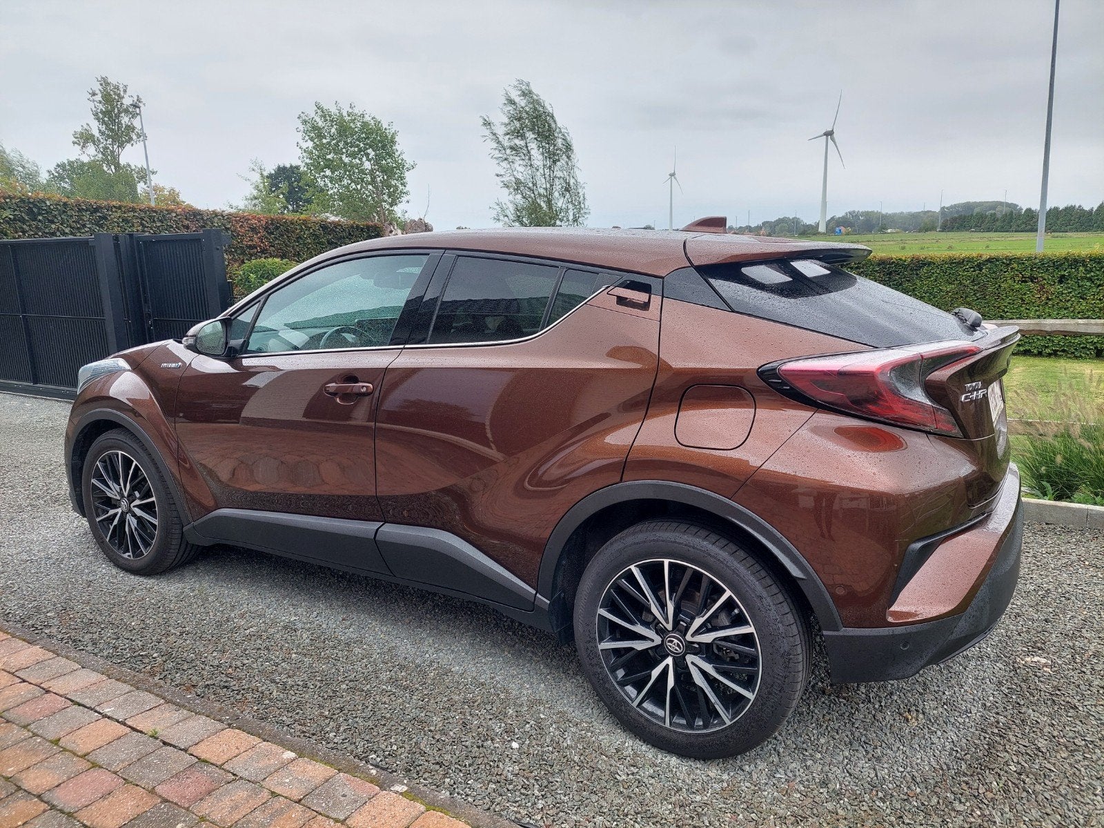 Toyota C-HR / hatchback / bruin, Auto's, Voorwielaandrijving, Euro 6, Bruin, Bruin