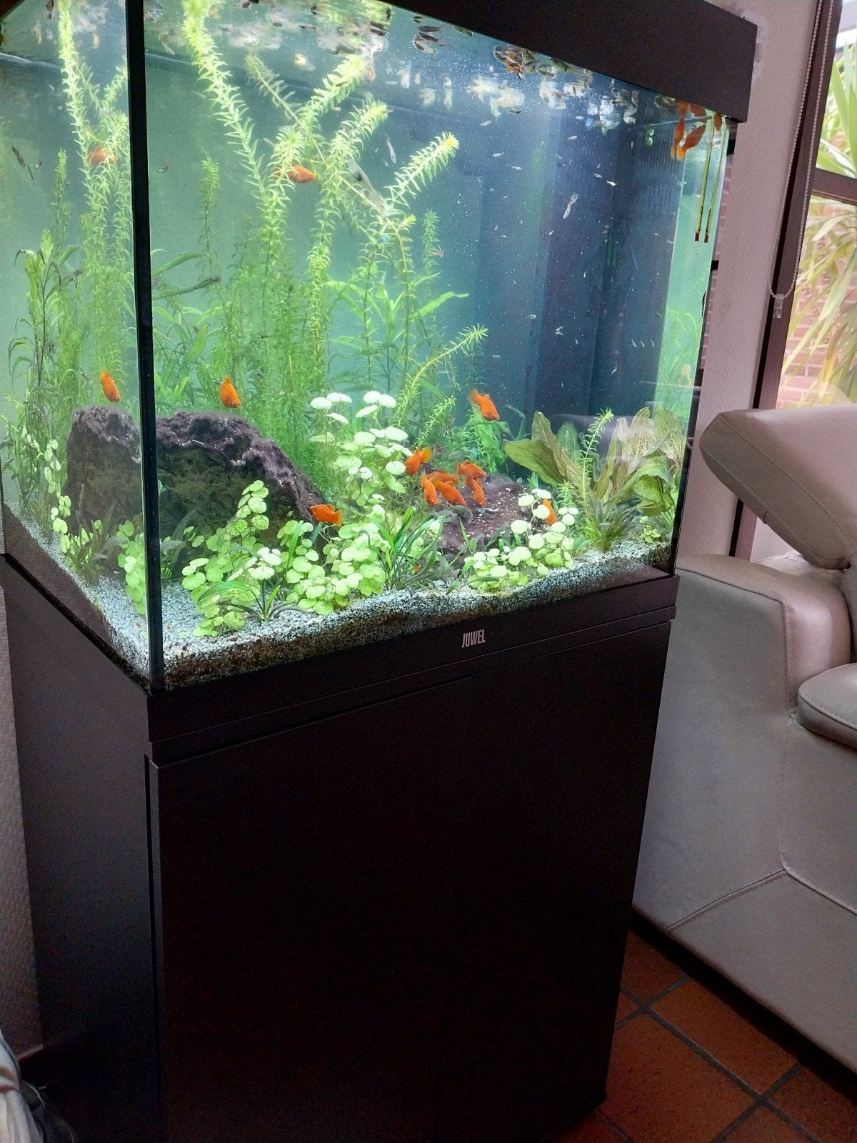 Bijou d'aquarium complet 60 x 40 x 130 cm et aquarium encore, Animaux & Accessoires, Enlèvement, Juwel