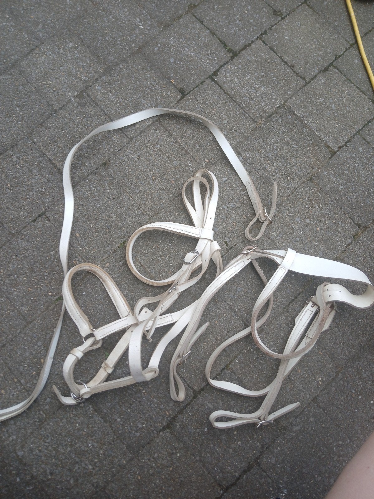 witte showset paard, Animaux & Accessoires, Chevaux & Poneys | Autres trucs de cheval, Enlèvement, Utilisé, Autres disciplines
