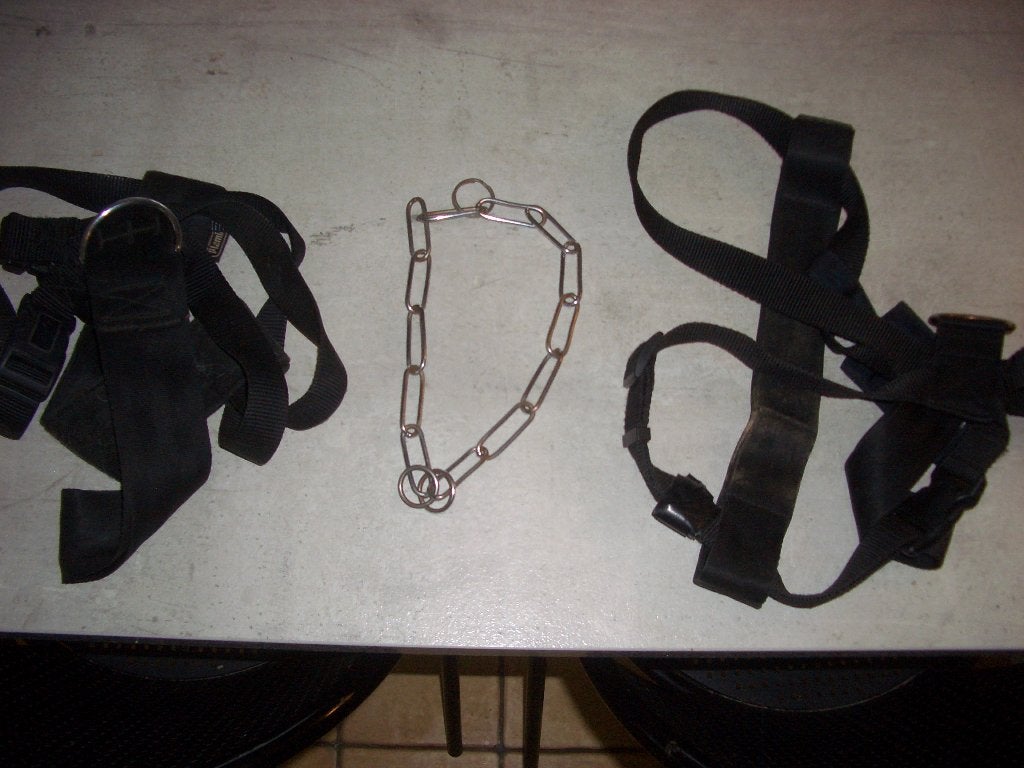 harnais et collier pour chien taille moyenne, Animaux & Accessoires, Enlèvement, Utilisé