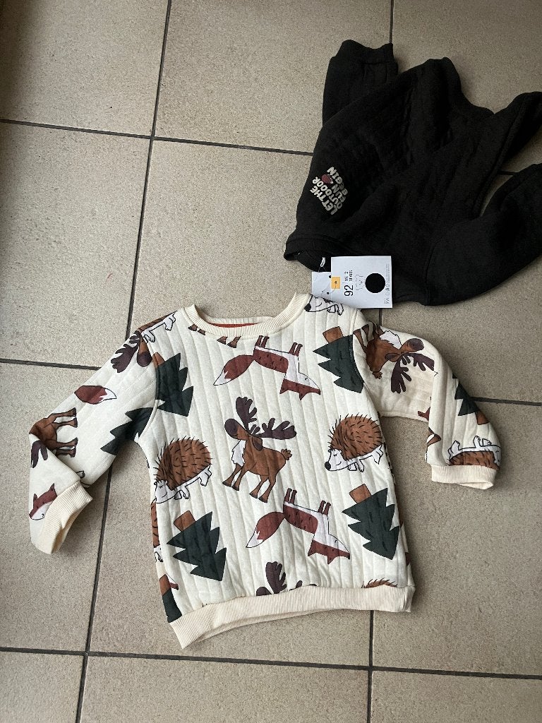 Set van 2 nieuwe truien ( Vos egel - outdoor fun ) Maat 92, Kinderen en Baby's, Kinderkleding | Maat 92, Ophalen of Verzenden