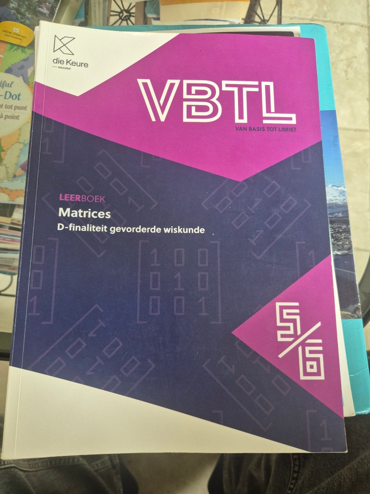 VBTL 5/6 - leerboek Matrices, stelsels & determinanten (D-Ge, Enlèvement ou Envoi, Néerlandais
