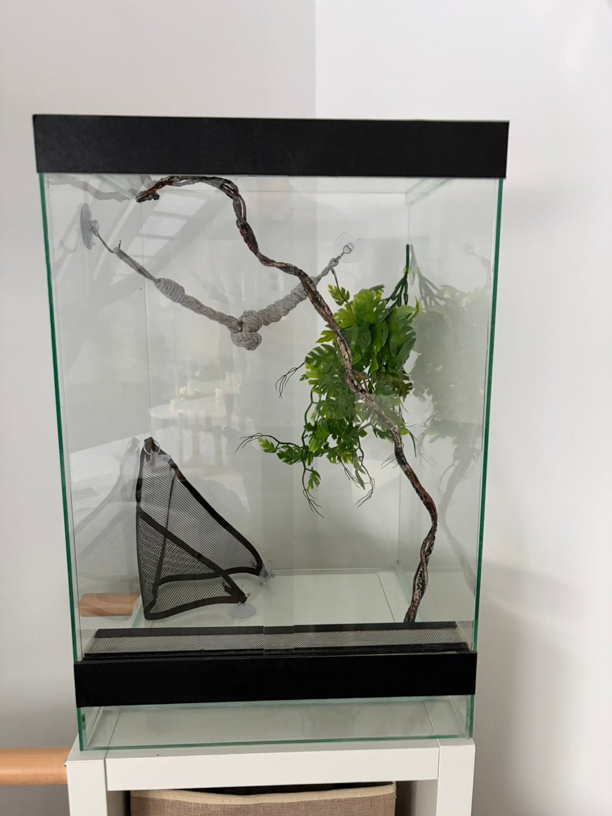 Terrarium avec accessoires, Animaux & Accessoires, Enlèvement, Comme neuf