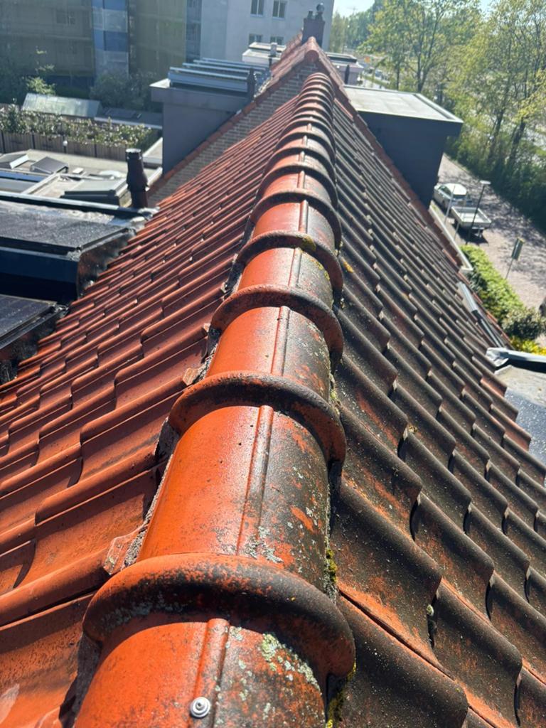Dakpannen reinigen en coaten, Ophalen of Verzenden, Steen of Klei, 15 m² of meer, Dakpannen