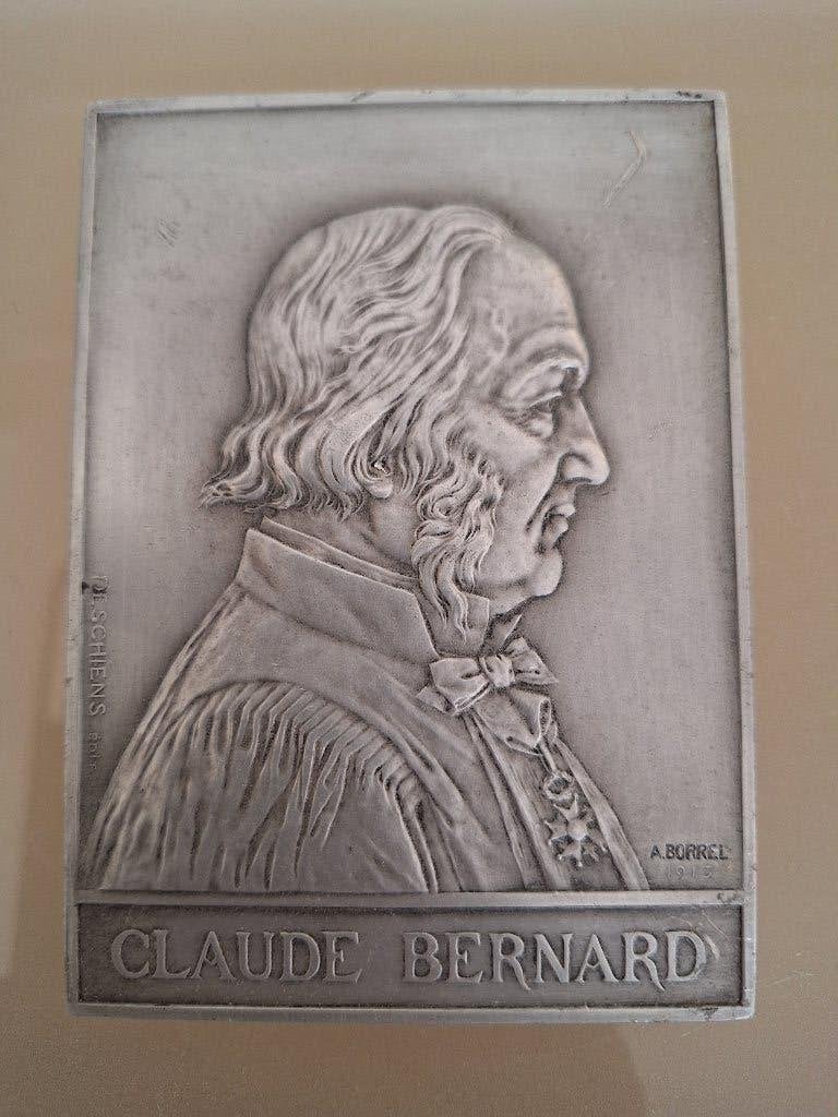 Médaille / Plaque Claude Bernard Académie française, Enlèvement ou Envoi