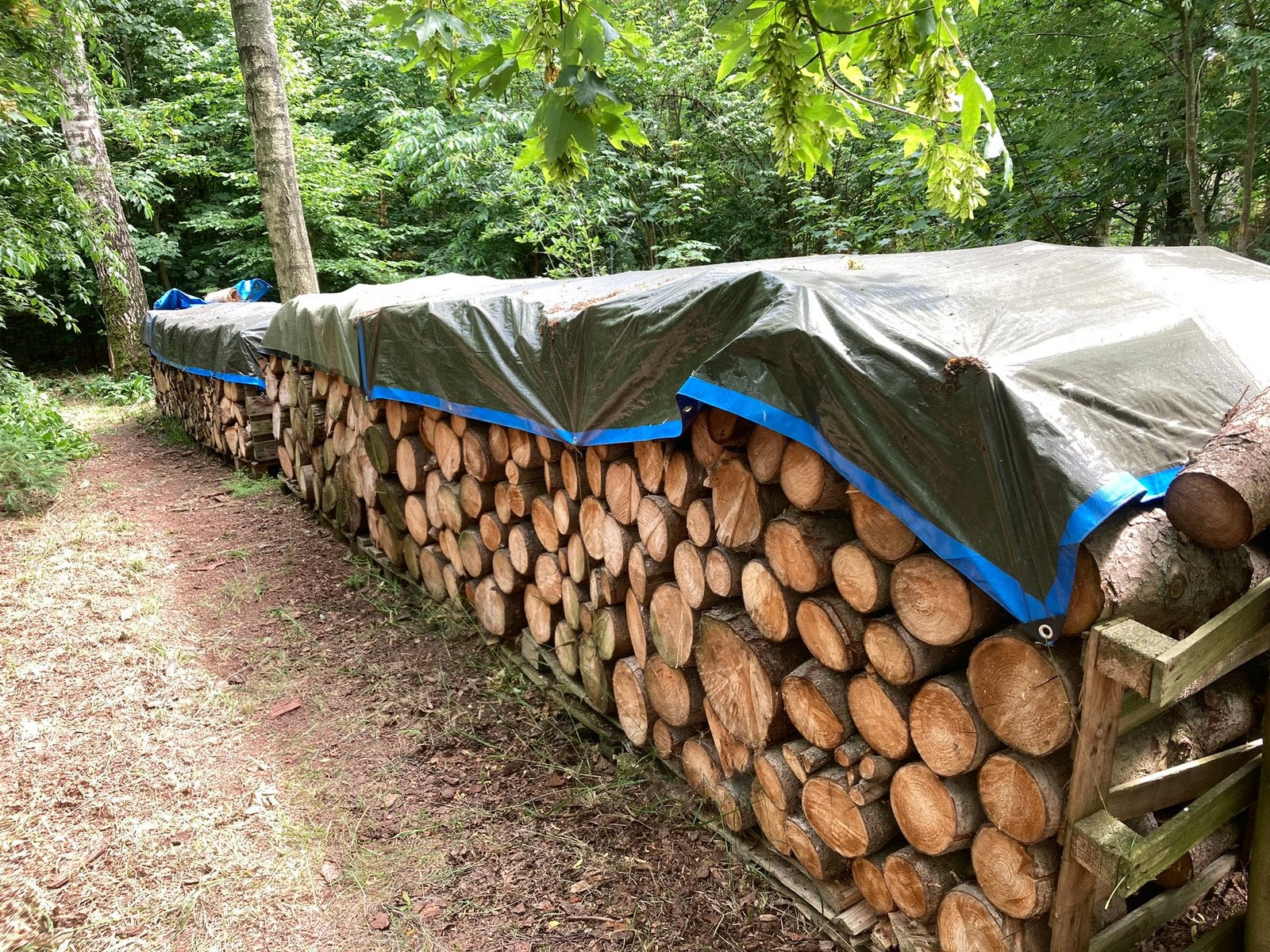Stookhout, Tuin en Terras, Ophalen, Blokken