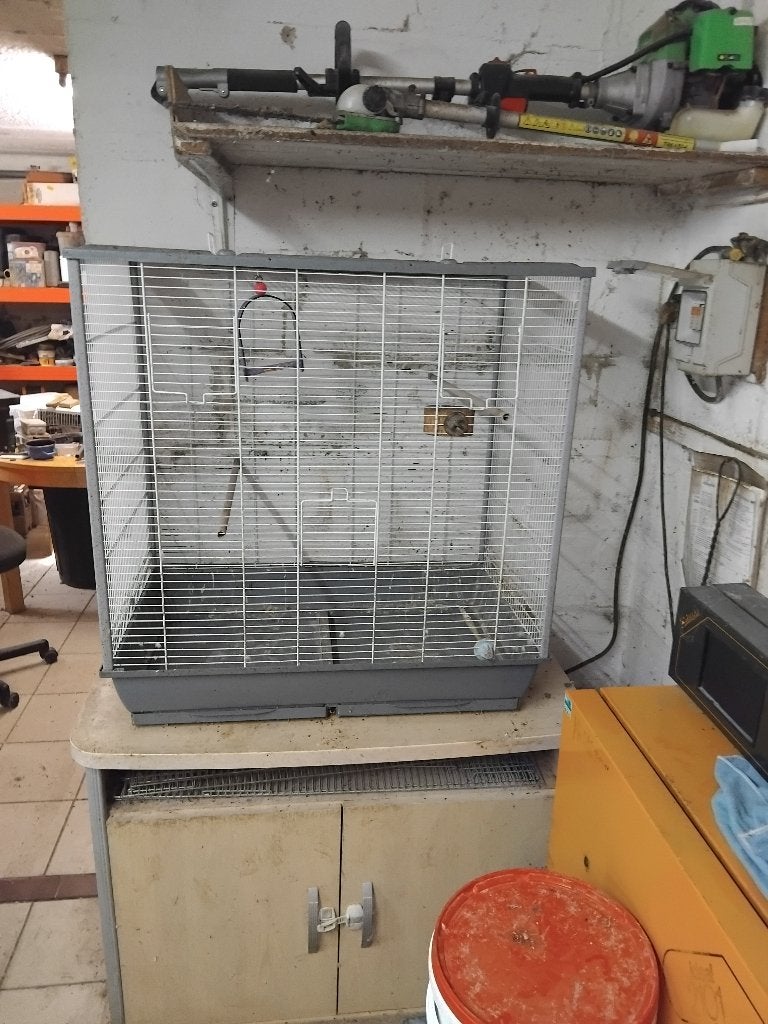 Grande cage a vendre, Enlèvement, Utilisé, Métal, Cage à oiseaux