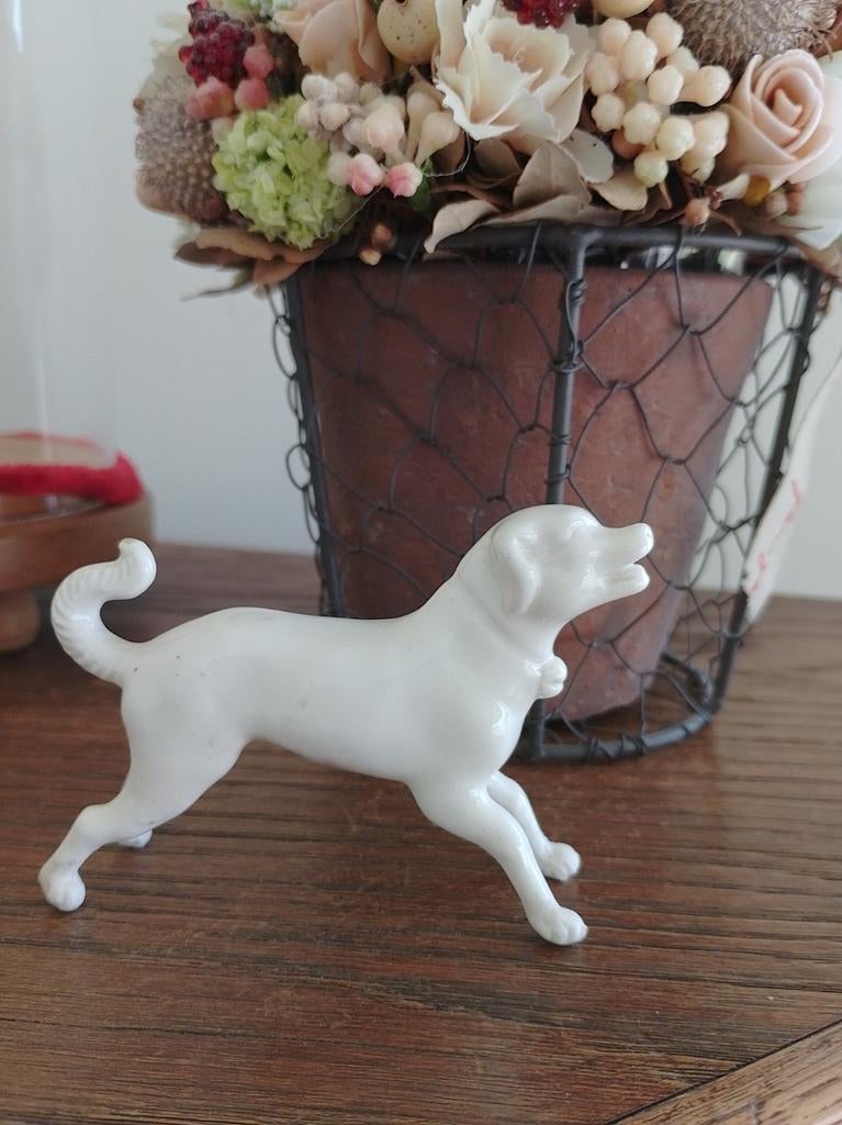 Klein oud porseleinen hondje, Enlèvement