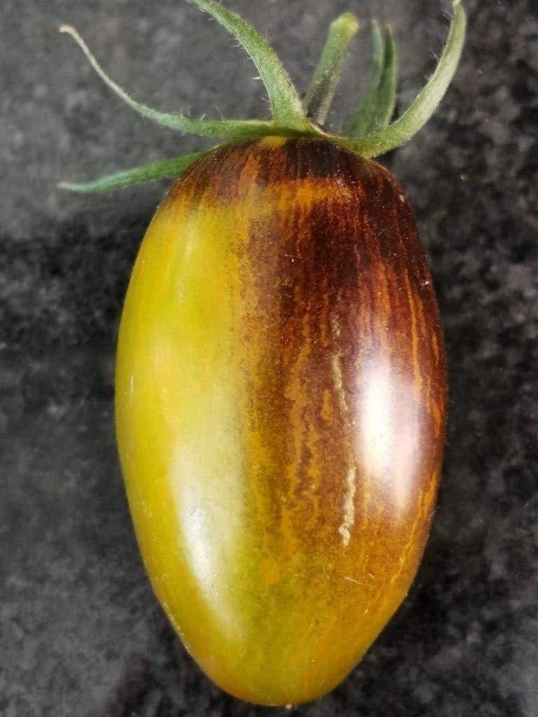 5 graines de tomates Atomic Fusion - culture biologique, Jardin & Terrasse, Envoi, Printemps, Graine