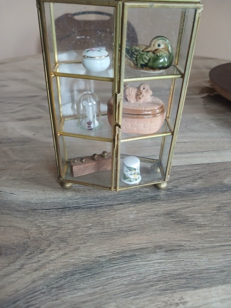 Vitrine, Avec porte(s), Moins de 25 cm, Moins de 100 cm, Verre