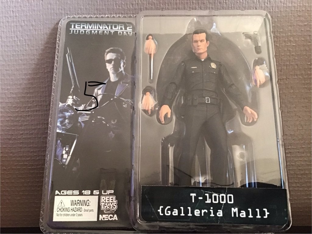 Terminator galleria mall, Enlèvement