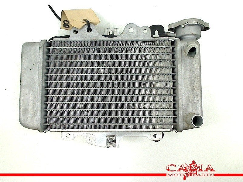 RADIATEUR Honda Dylan (PS150i) (01-1970/-) (713080), Motoren, Dhr. S. di Majo, Gebruikt, Info@cama-motorparts.nl, P.J. Troelstraweg 8 8
3144 CX  MAASSLUIS, NL