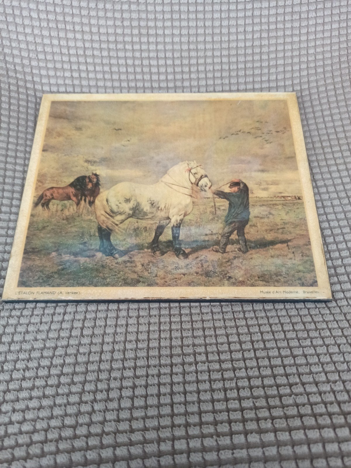 L'étalon Flamand - A. Verwee, Antiek en Kunst, Ophalen, Dieren