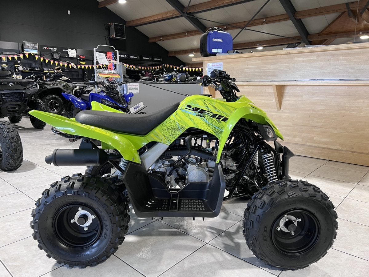 Yamaha Raptor 50 4 TEMPS, Motoren, 11 kW of minder, 50 cc