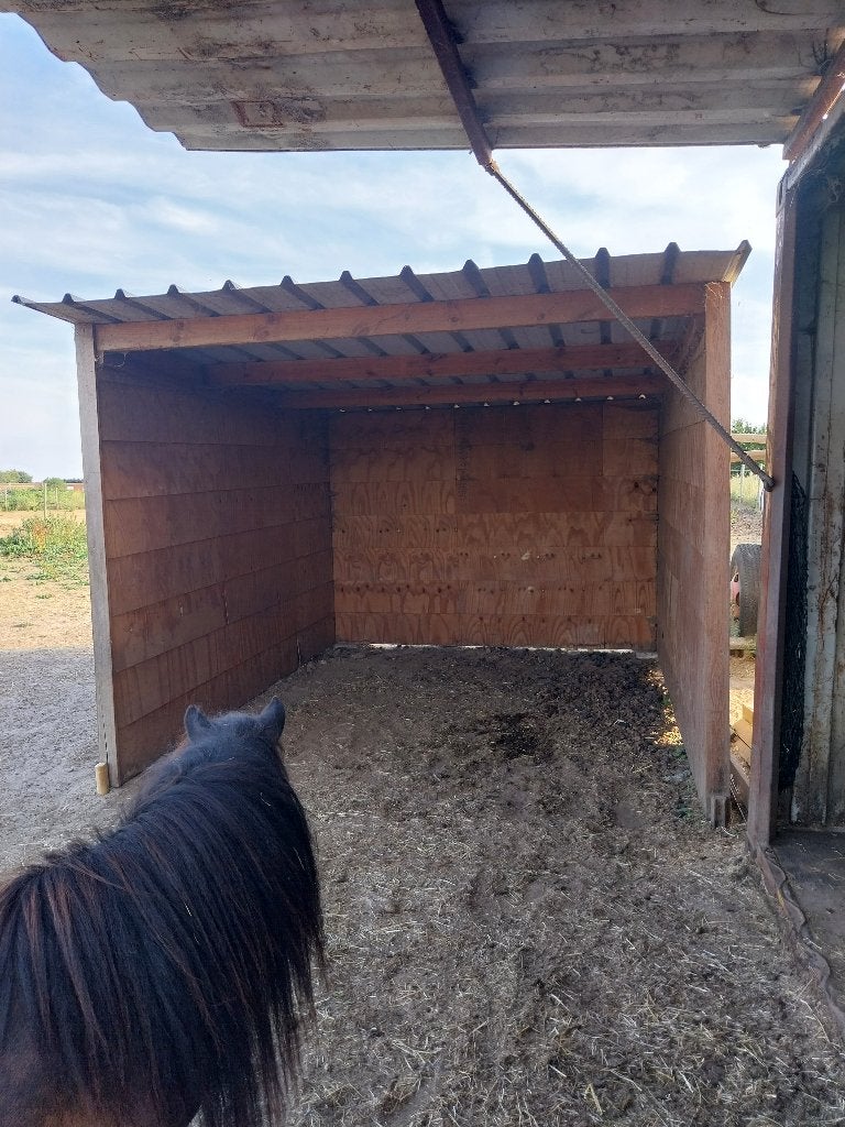 Abri pour chevaux (prairie), Animaux & Accessoires, Pâturage, 2 ou 3 chevaux ou poneys