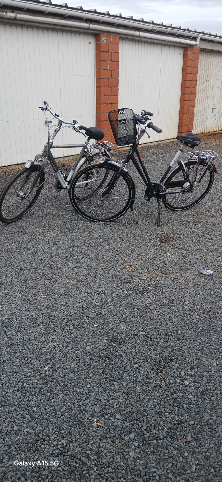 2 gazelle fietsen, Enlèvement, Gazelle