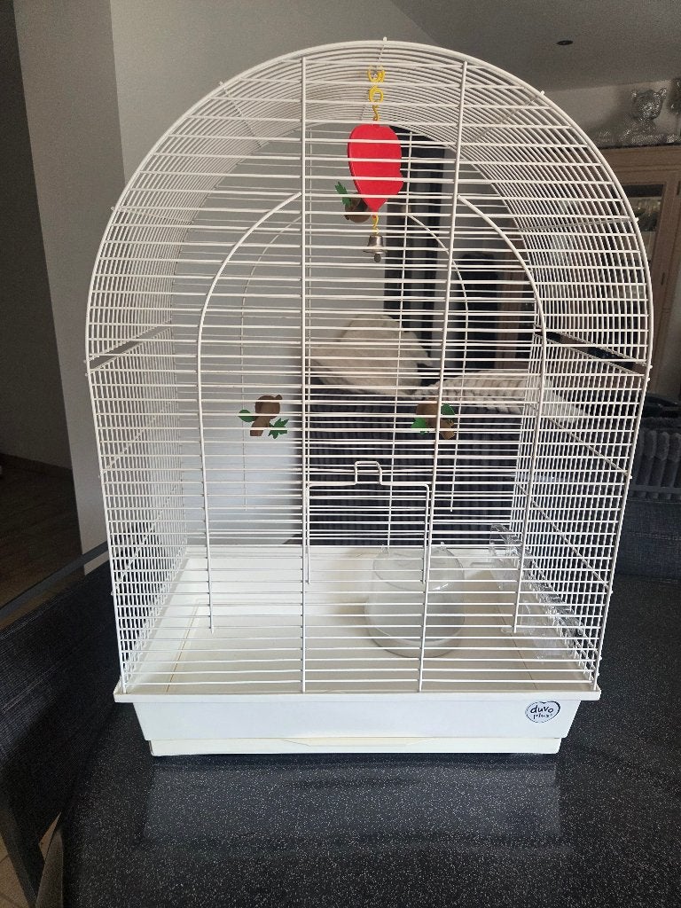 Grande cage à oiseau, Animaux & Accessoires, Enlèvement, Comme neuf