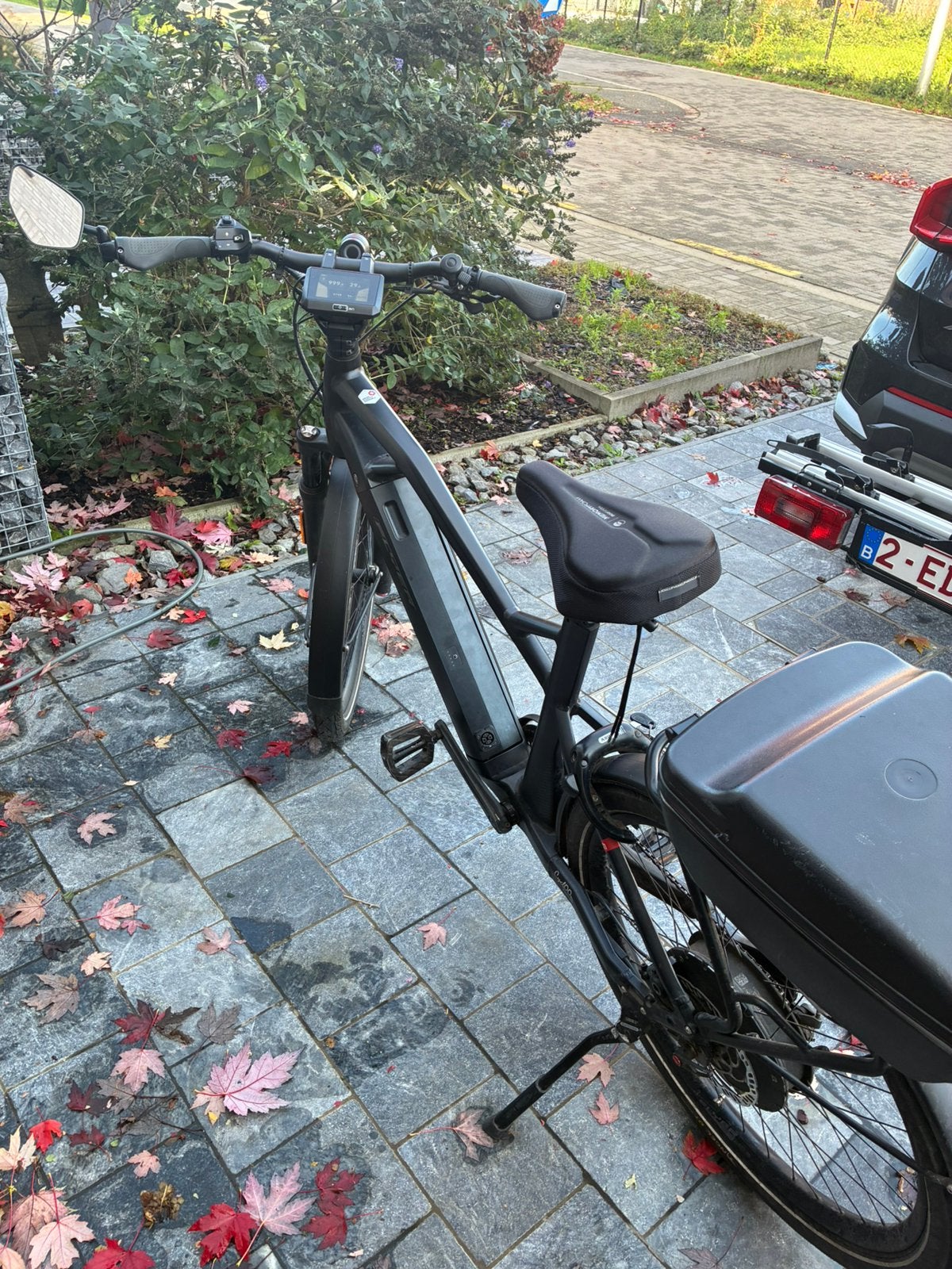 Electrische fiets flyer, Fietsen en Brommers, Gebruikt, 50 km per accu of meer, 55 tot 59 cm, Ophalen