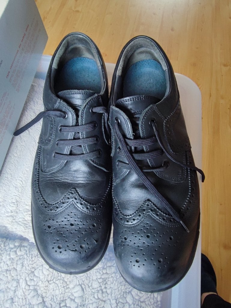 Chaussures de sécurité Steitz Secura : modèle bas (nouveau!), Bricolage & Construction, Vêtements de sécurité, Neuf, Enlèvement ou Envoi