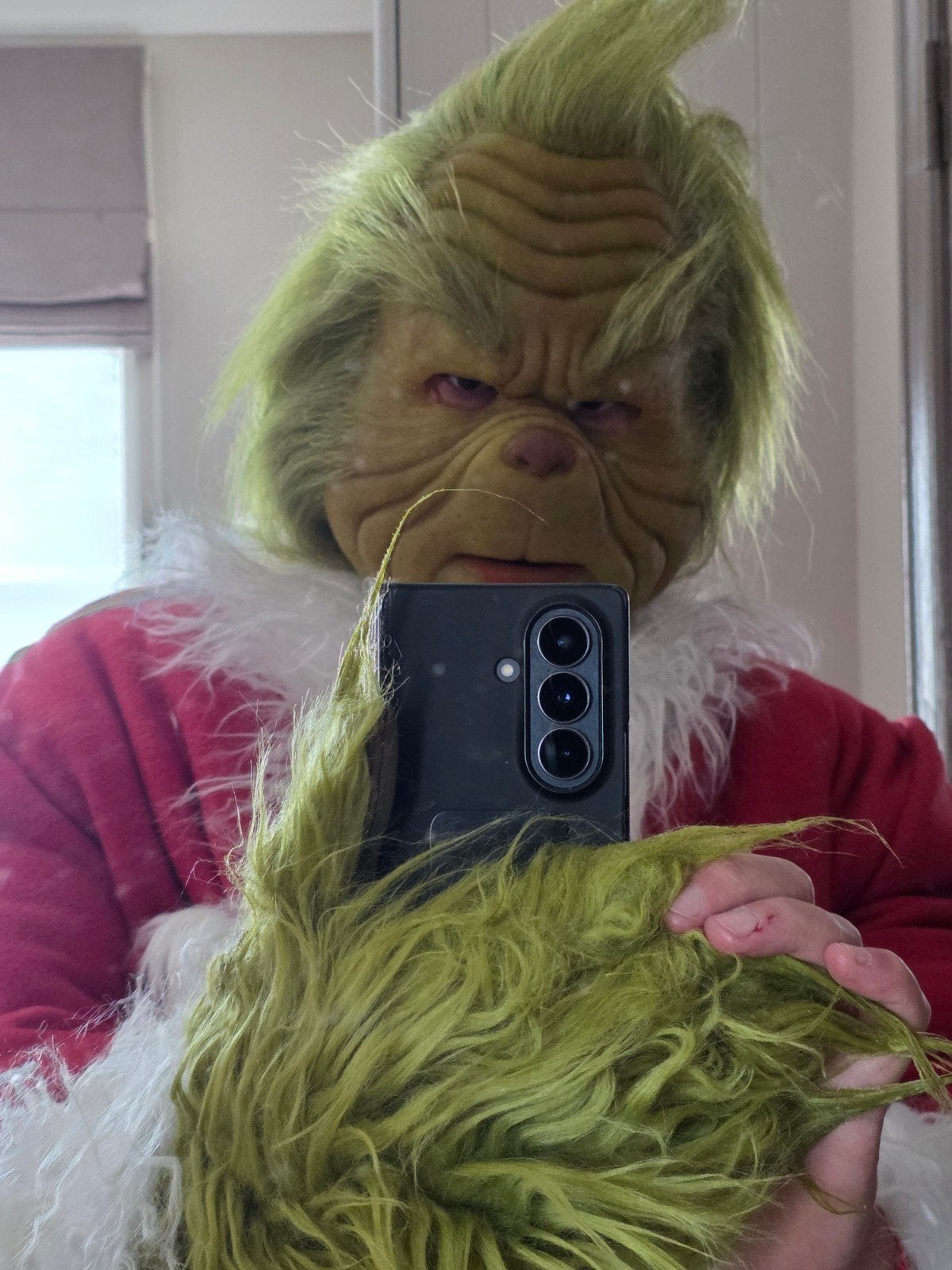 the Grinch costume, Ophalen of Verzenden