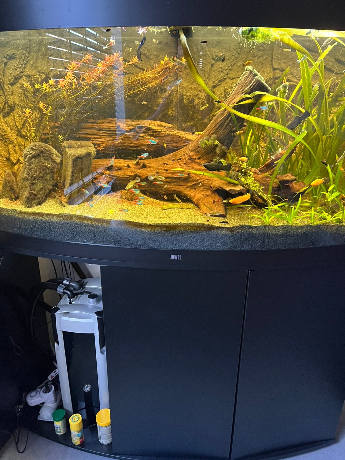 Aquarium, Ophalen, Pomp, Gebruikt