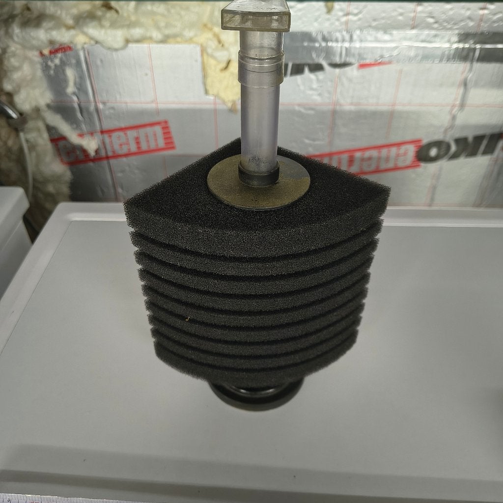grote sponsfilter, Ophalen