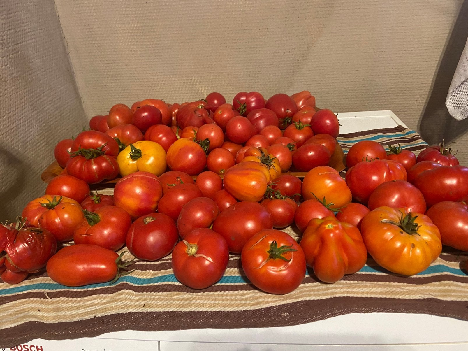 Tomaten te koop te Alsemberg, Ophalen