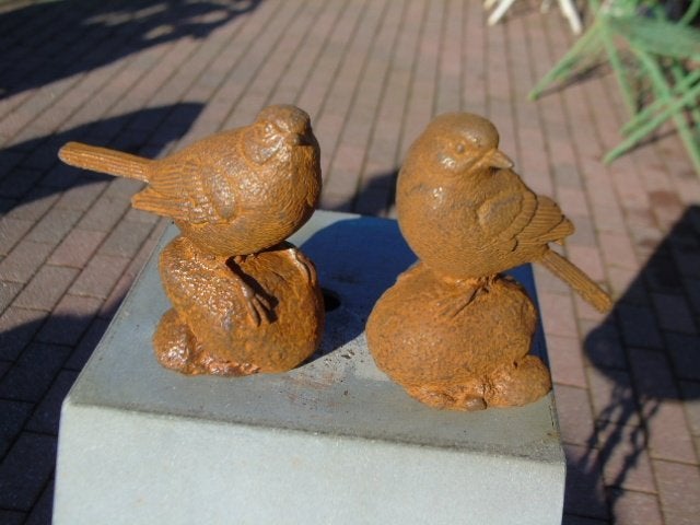 vogel 2 op een roestige gietijzeren rots., Ophalen of Verzenden, Nieuw