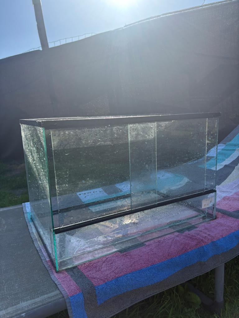 Terrarium, Enlèvement, Utilisé, Terrarium ou Paludarium