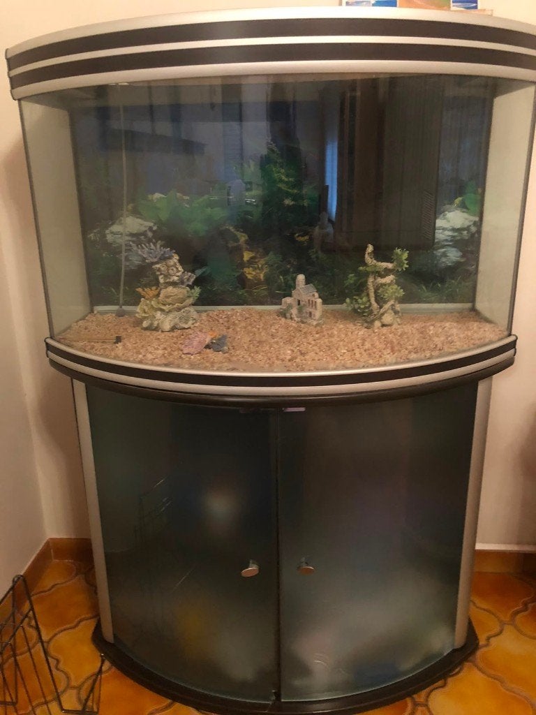 aquarium, Ophalen, Inclusief toebehoren, Zo goed als nieuw, Aquariummeubel