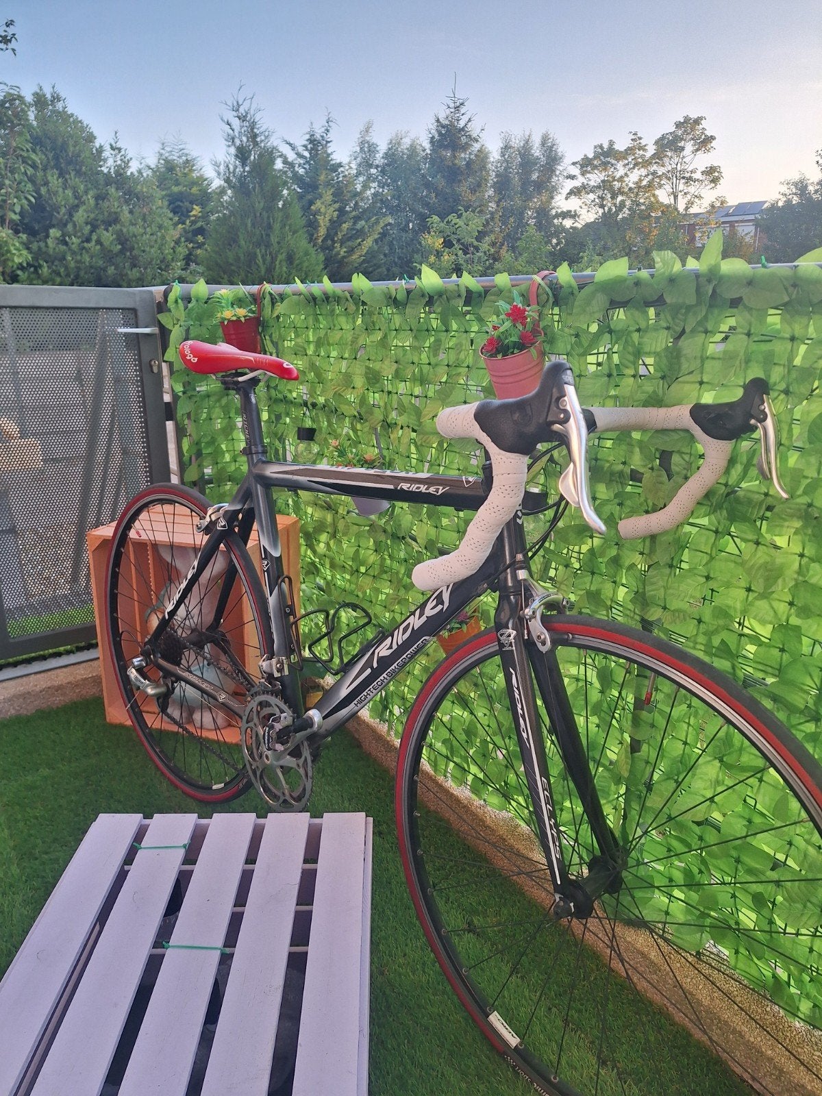 Koersfiets ridley, Ophalen