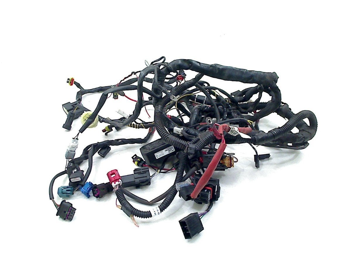 FAISCEAU DE CÂBLAGE DIVERS Piaggio (1D003279), Piaggio, P.J. Troelstraweg 8 8
3144 CX  MAASSLUIS, NL, Info@cama-motorparts.nl