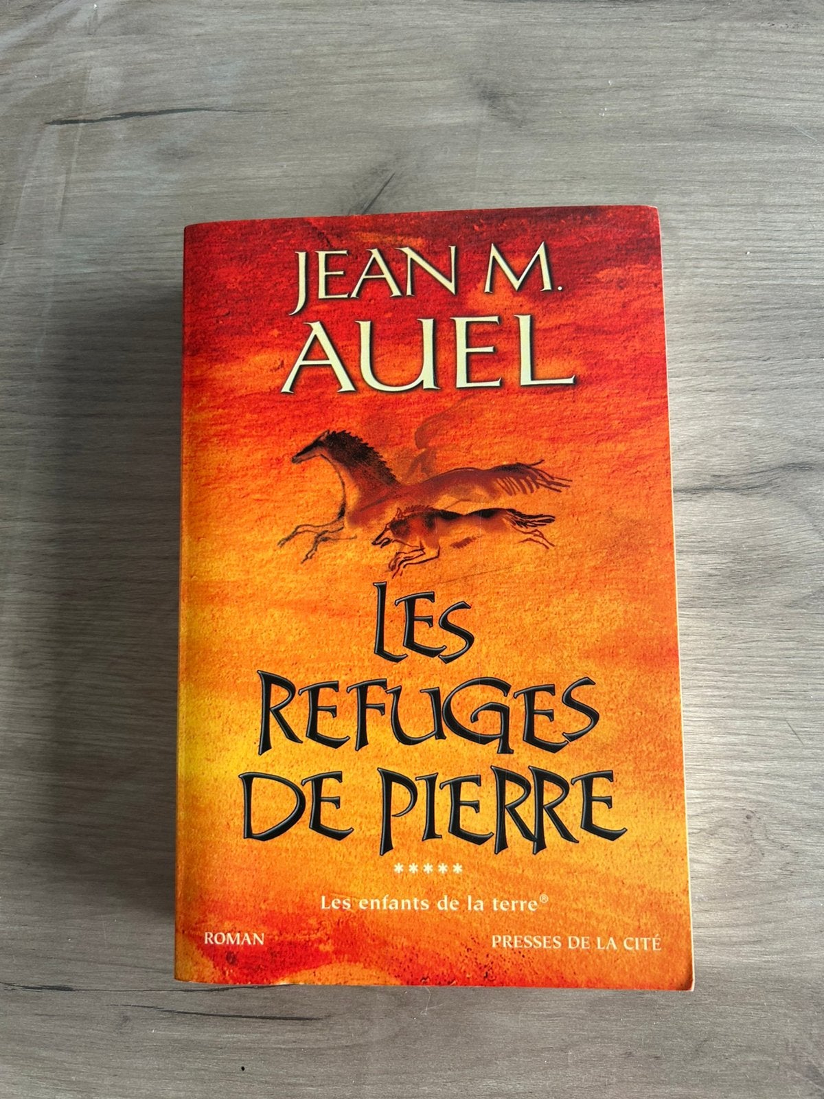 Les Refuges de Pierres - Les enfants de la terre, Boeken, Ophalen of Verzenden, Zo goed als nieuw