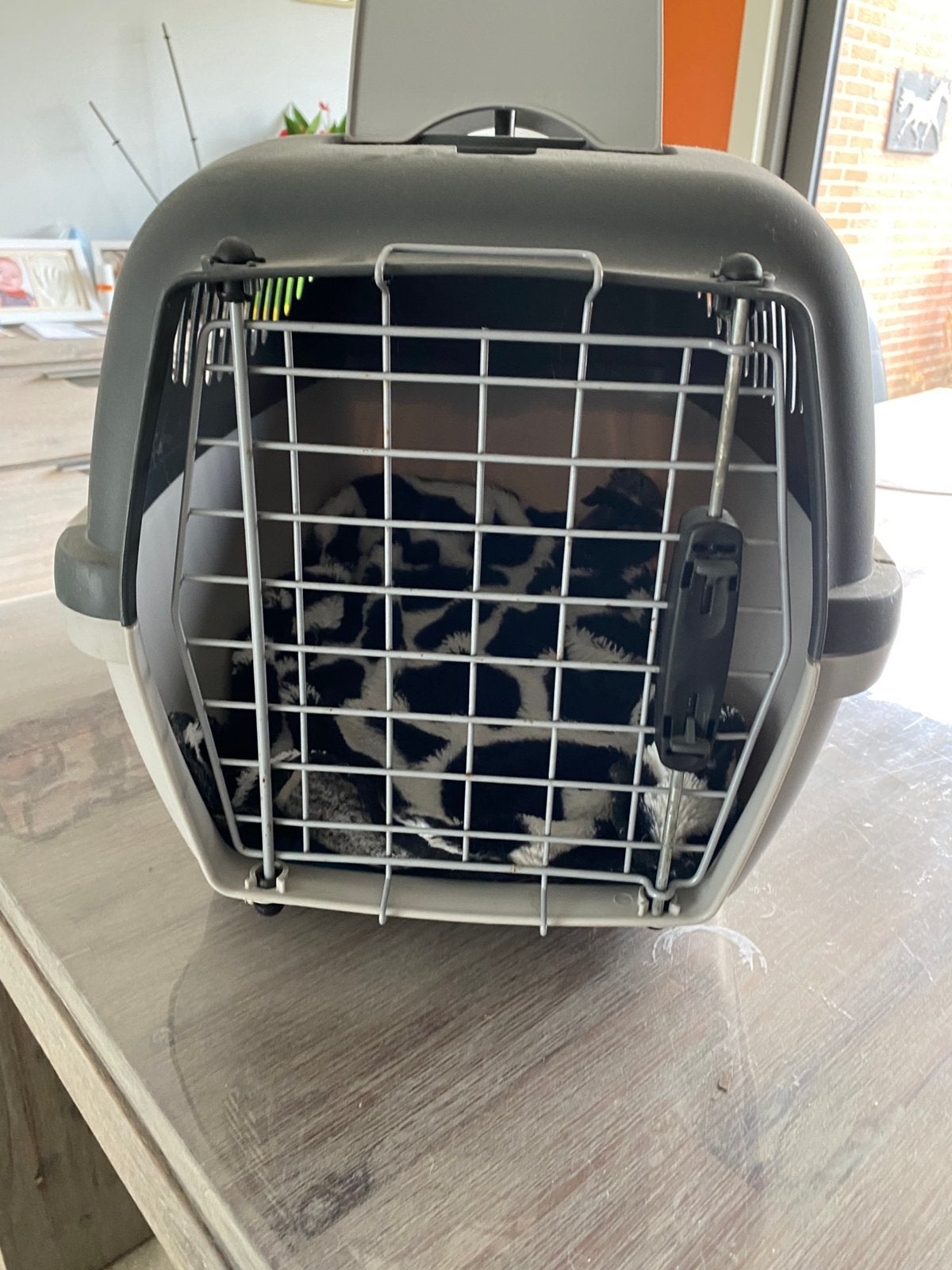 Dieren transport box, Dieren en Toebehoren, Transportboxen, Ophalen, Zo goed als nieuw