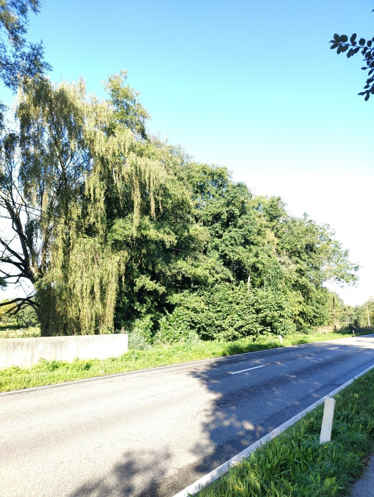 Mooi gelegen stuk agrarische/landbouwgrond in een groene omg, Immo