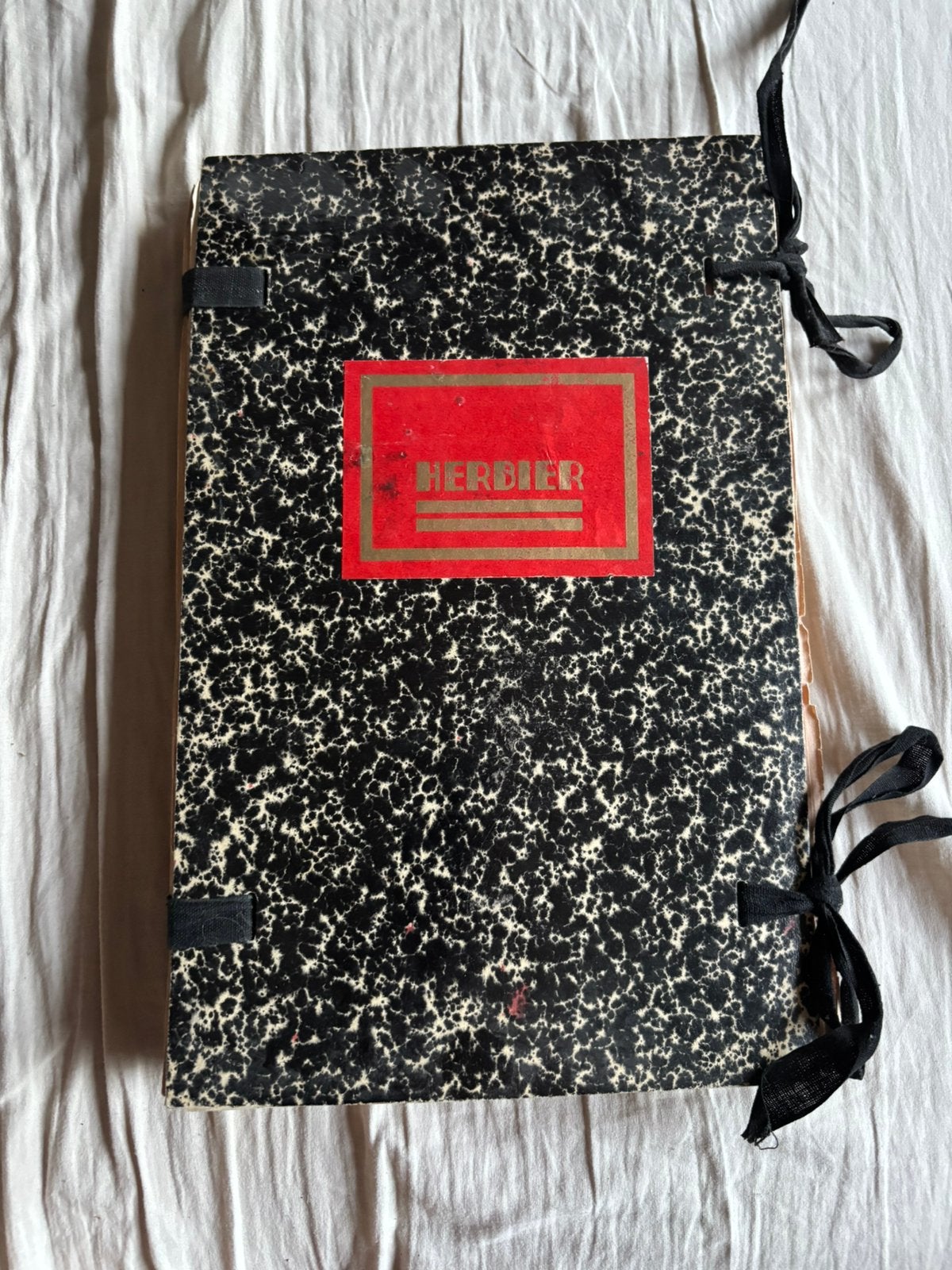 Oud boek met kruidenverzameling herbarium, Envoi, Comme neuf