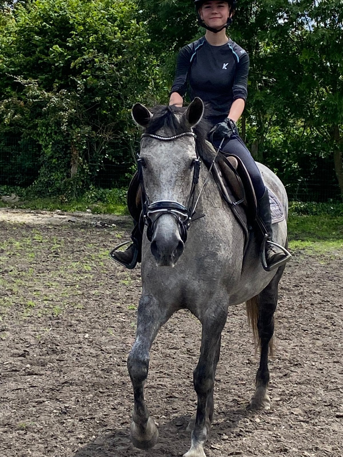 Merrie 13jaar Spaanse Pré 163cm, Dieren en Toebehoren, Paarden, Merrie, 160 tot 165 cm, 11 jaar of ouder, Recreatiepaard, Gechipt