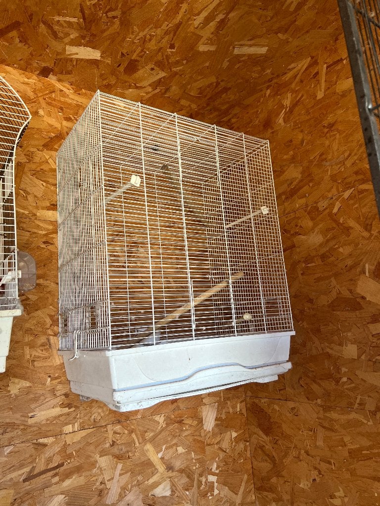 Peruches + cages, Animaux & Accessoires, Enlèvement ou Envoi, Utilisé, Aluminium, Cage à oiseaux