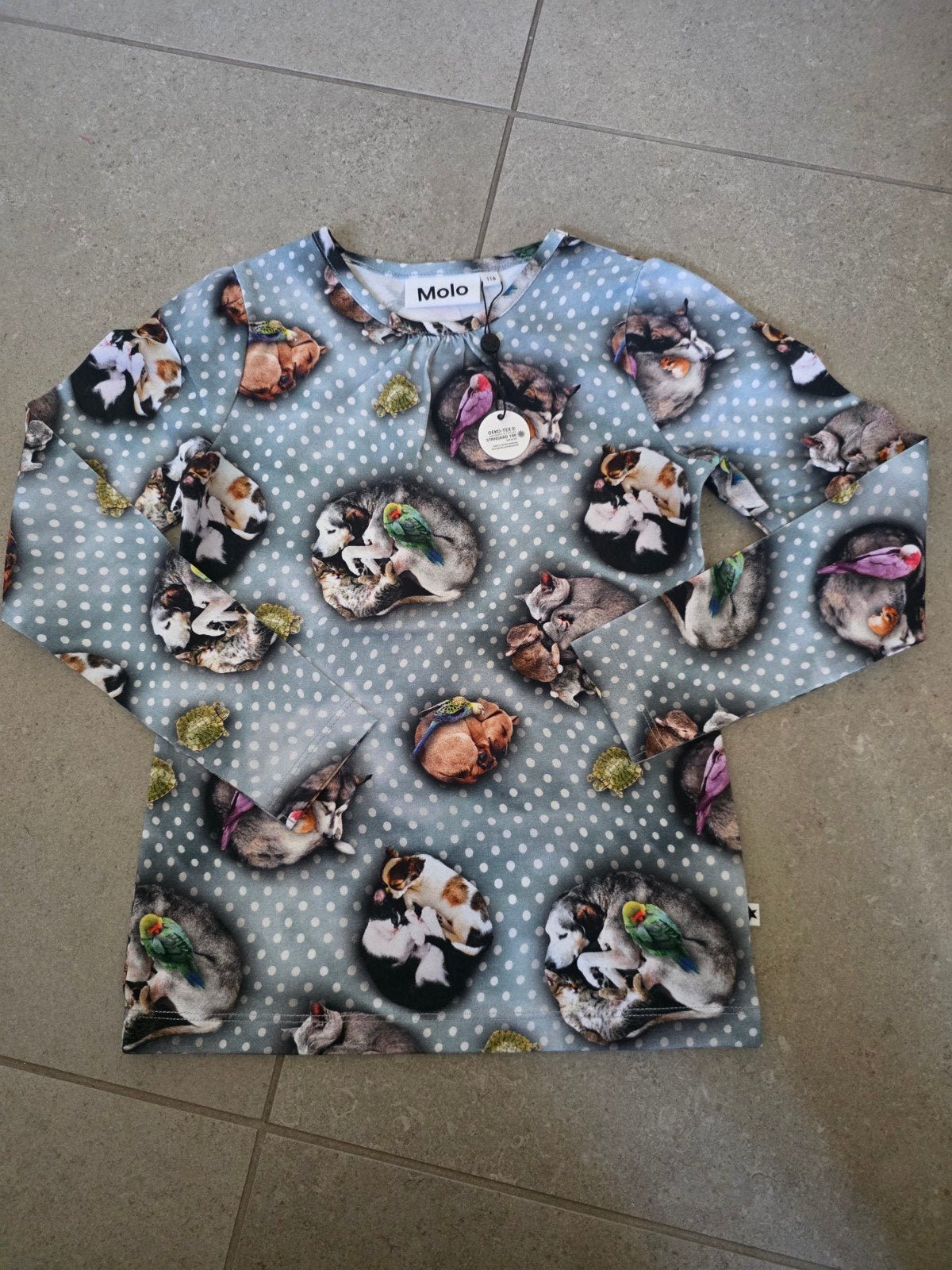 🐇🦆🐦Molo longsleeve 🐇🦆🐦, Kinderen en Baby's, Molo, Jongen of Meisje, Nieuw, Ophalen of Verzenden