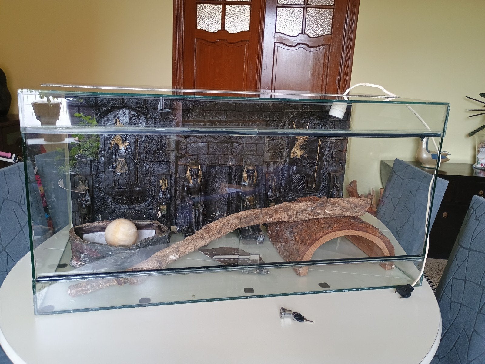 Grand terrarium, Animaux & Accessoires, Enlèvement