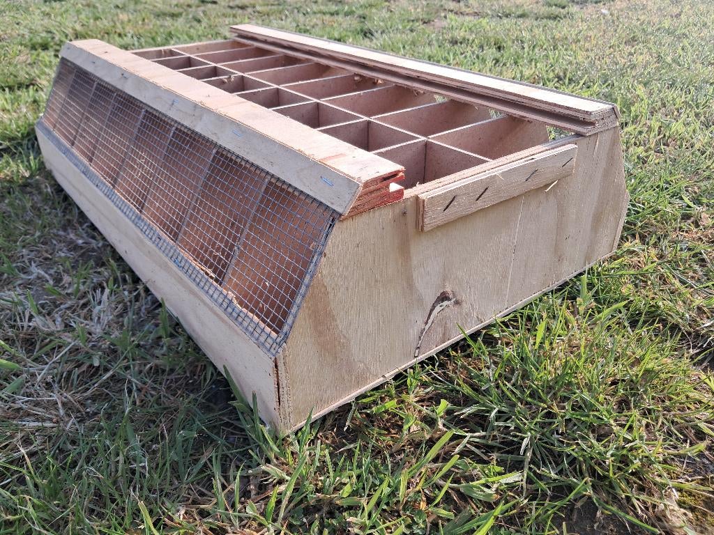 Transportbox voor kleine vogels met tussenschotten, Dieren en Toebehoren, Ophalen, Gebruikt, Overige typen