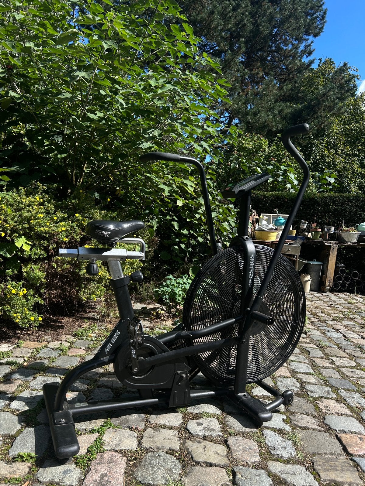 Assault airbike, Sport en Fitness, Ophalen, Overige materialen, Benen, Gebruikt