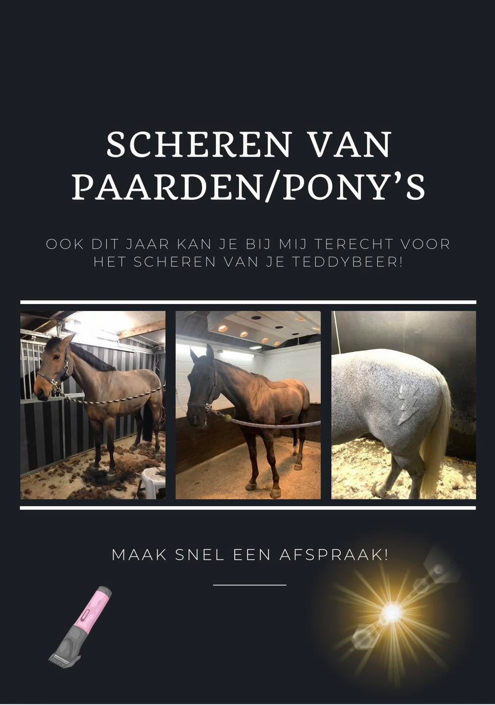 Scheren paarden/pony’s, Dieren en Toebehoren, Ophalen, Zo goed als nieuw, Pony