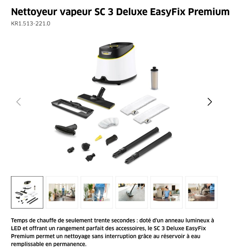 nettoyeur vapeur, Electroménager, Enlèvement, Neuf, Nettoyeur à vapeur