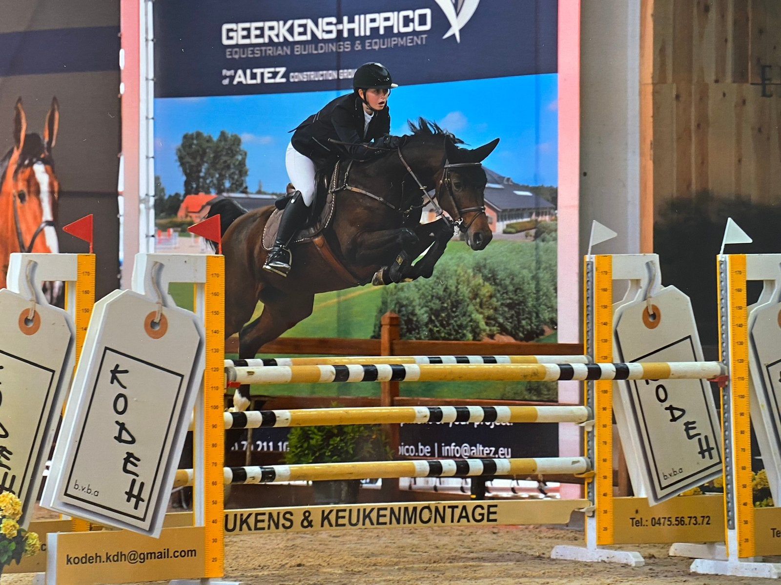 Springmerrie te koop, Animaux & Accessoires, Chevaux, Jument, M, 160 à 165 cm, 11 ans ou plus, Cheval de saut