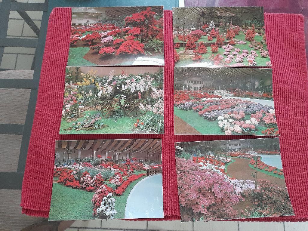 14 oude  prentkaarten Gentse floralien 1975, Ophalen of Verzenden