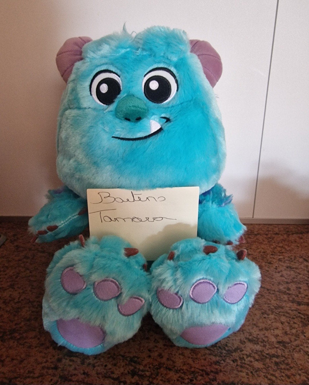 Disney knuffel, Verzamelen, Disney, Ophalen, Knuffel