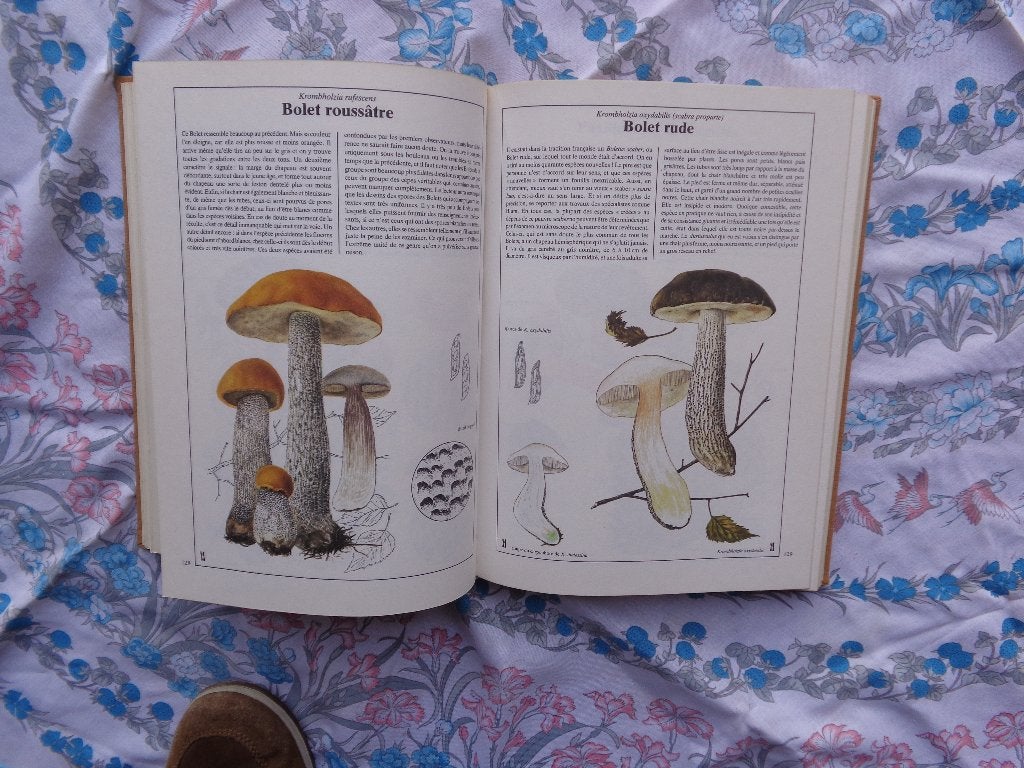 Beau livre sur les champignons, Livres, Nature, Enlèvement